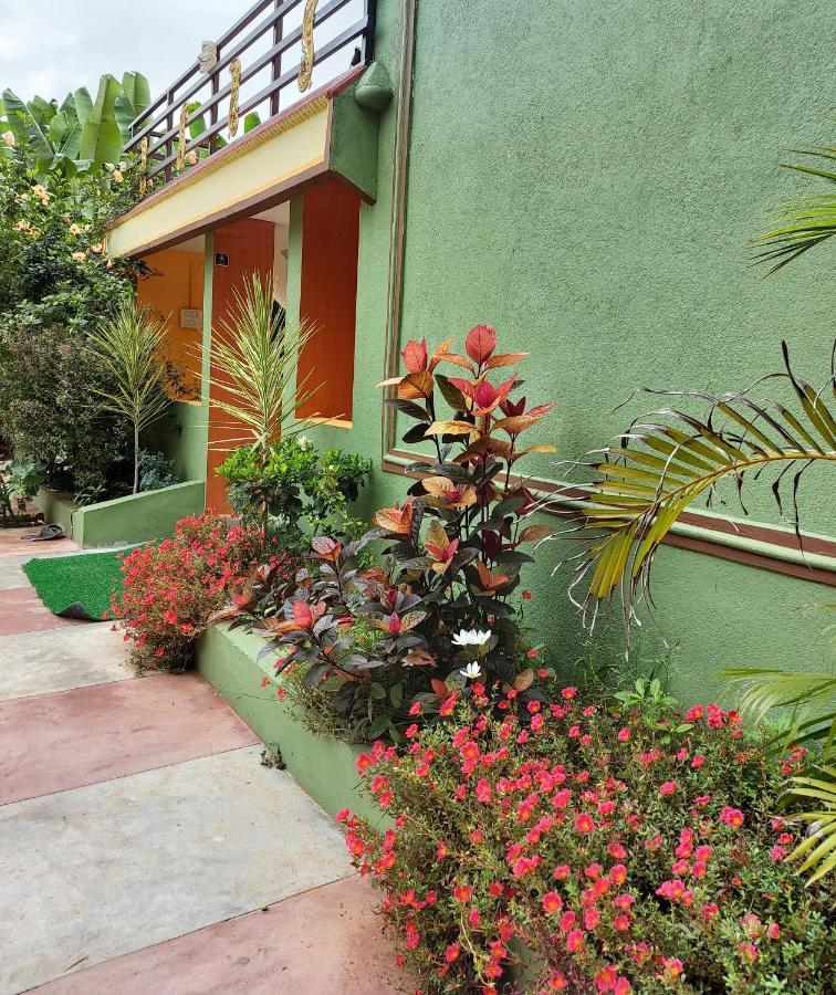 Banana Farm House Hampi Exteriér fotografie